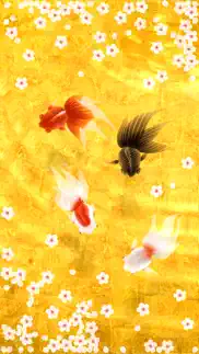 wa kingyo - poisson rouge iPhone Captures Décran 1