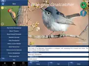 bird song id usa songs & calls ipad images 4