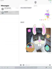 boss bunny ipad images 2