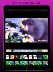 videofinish pro ipad images 2
