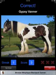 3strike horses ipad images 2