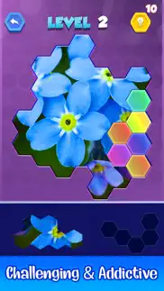 jigsaw hexa puzzle art iphone images 3