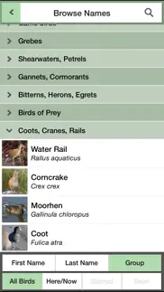 birds of britain pocket guide iphone capturas de pantalla 3