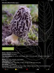 illinois mushroom forager map! ipad images 2
