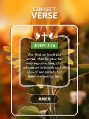 holyscapes - bible word game ipad images 3