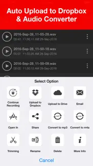 voice recorder lite: record hd iphone images 3
