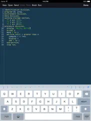 cobol programming language ipad images 1