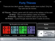 40 thieves solitaire ipad images 1