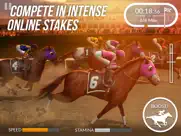 photo finish horse racing ipad images 2