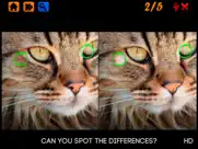 spot the differences 100 ipad images 1