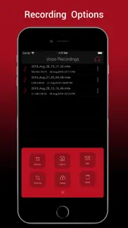 voice recorder hd pro iphone images 1