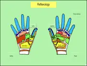 treat your hands - reflexology ipad images 1