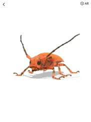 insecta - study insects in ar ipad images 4