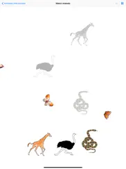 animated wild animals ipad images 4