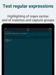 regex lab: regular expressions ipad images 1