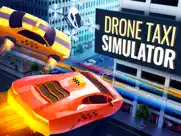 drone taxi simulator: rc drive ipad images 1