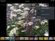 arkmc pro upnp media streaming ipad resimleri 3