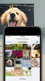 smartcast for chromecasttv iphone images 3