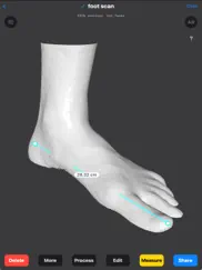 foot scan 3d ipad capturas de pantalla 1