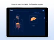 human digestive system ipad images 3