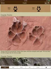 itrack wildlife basic ipad images 4