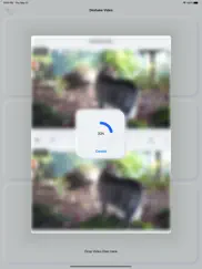 video deshake - stabilizer ipad images 3