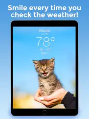 weather kitty: weather + radar ipad images 1
