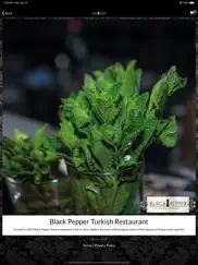 black pepper turkish restauran ipad images 4