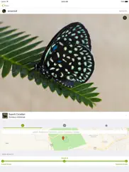 inaturalist ipad images 1