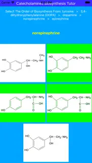 catecholamines synthesis tutor iphone images 4