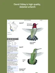 sibley guide to hummingbirds ipad images 1