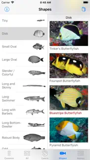 scuba fish hawaii iPhone Captures Décran 4