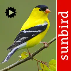 bird song id usa songs & calls logo, reviews