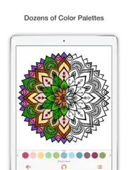 colorart coloring book ipad images 2