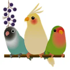 adorable birds emoij stickers logo, reviews