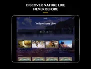 nat geo tv: live & on demand ipad images 1