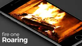 ultimate fireplace pro iphone images 2