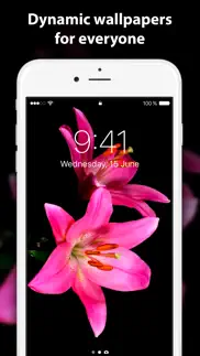 live wallpaper ∘ for me iphone images 4