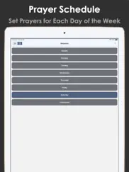 prayer notes pro: ask, receive ipad images 3