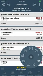 mi presupuesto 2017 iphone capturas de pantalla 3
