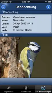 bird id - garden birds germany iphone images 4