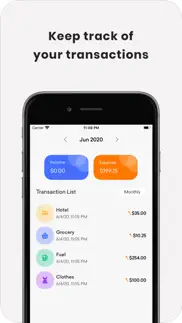 easy finance - expense tracker iphone images 2