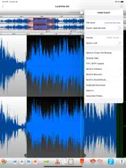 twistedwave audio editor ipad capturas de pantalla 3