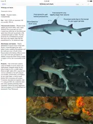 eguide to sharks and rays ipad resimleri 2