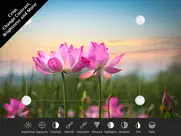 photo editor+ ipad images 2