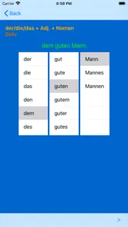 german adjective endings iphone bildschirmfoto 4