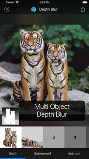 depth blur - manual portrait iphone images 4