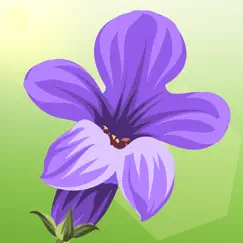 lucky lavender logo, reviews