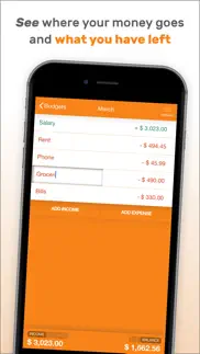 fudget: budget planner tracker iphone images 3