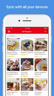 paprika recipe manager 3 iphone resimleri 1